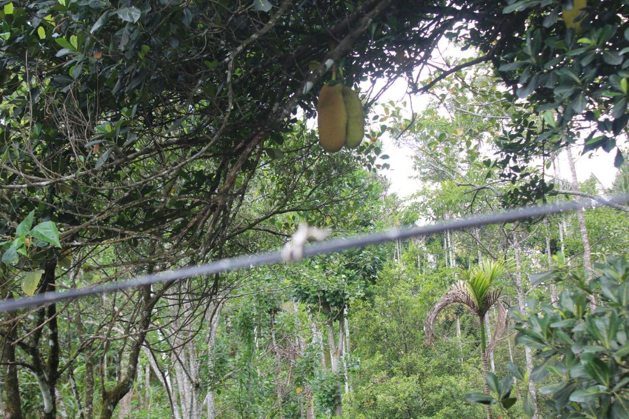 Villa Arabian Nights Munnar Exterior foto